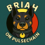 BRIAH price logo