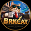 BRKCAT price logo