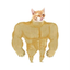BUFFCAT price logo
