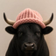 BULLWIF price logo