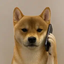 CALLINU price logo