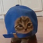 CAPCAT price logo