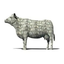 CASHCOW price logo