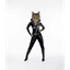 CATSUI price logo