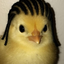 CHIGGA price logo