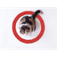 CIRCAT price logo