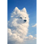 CLOUDINU price logo
