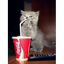 COLACAT price logo