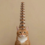 COMPOUNDCAT price logo