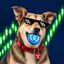 COOLDOG price logo