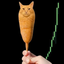 CORNCAT price logo