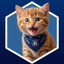 CROCAT price logo