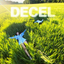 DECEL price logo