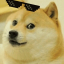 DOGEINU price logo