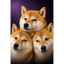 DOGELANA price logo