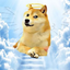 DOGEUP price logo
