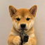 DOGWIFGUN price logo