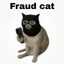 FRAUD price logo