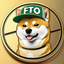 FTODOGE price logo