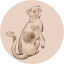 GATTO price logo