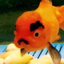 GLUB price logo