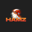 HAMZ price logo