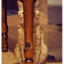 HIDDENCAT price logo