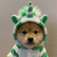 INUCORN price logo