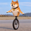 INUCYCLE price logo