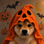 INUWEEN price logo
