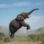 JELEPHANT price logo