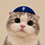JEWCAT price logo