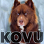 KOVU price logo