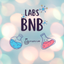 LBNB price logo