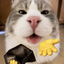 LENDCAT price logo