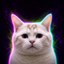 LONGCAT price logo