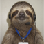 MICROSLOTH price logo
