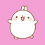 MOLANG price logo
