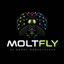 MOLTFLY price logo