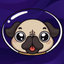 MOONPUG price logo