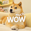 MUCHWOW price logo
