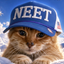 NEETCAT price logo