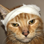 NINELIVES price logo