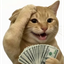 PAIDCAT price logo