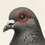 PIGEONS price logo