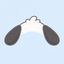 POCHACCO price logo