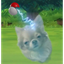 POKEDOG price logo