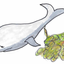 POOPCA price logo