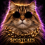POSTCATS price logo