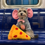 PRDOG price logo